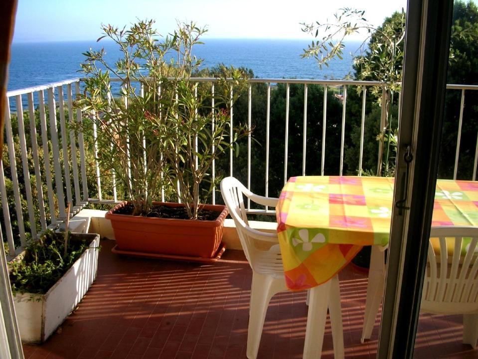Appartement Climatise Vue Mer Route Des Sanguinaires 阿雅克肖 外观 照片
